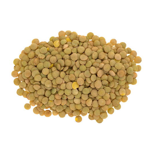 Lentil